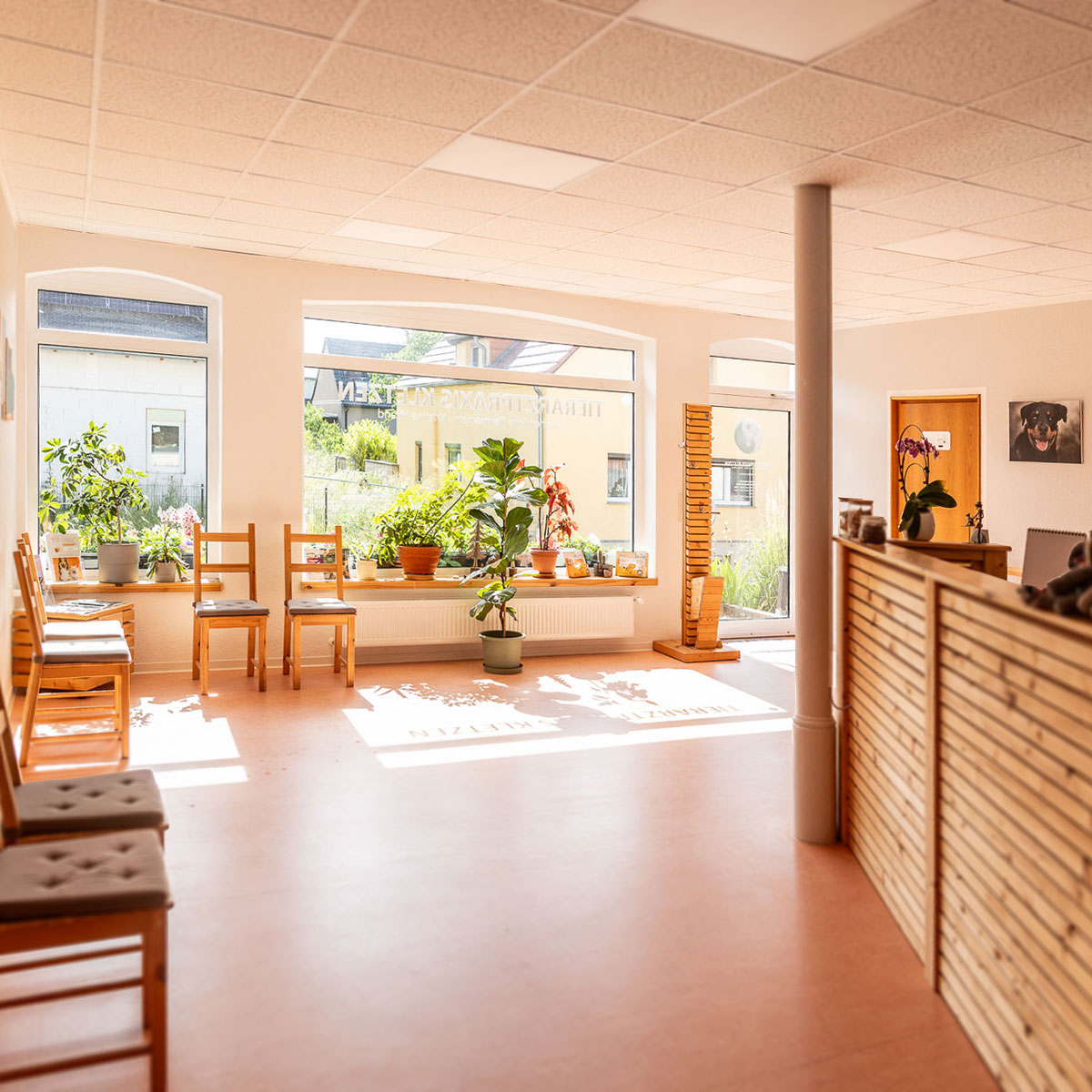 Wartezimmer in der Kleintierpraxis Kletzen