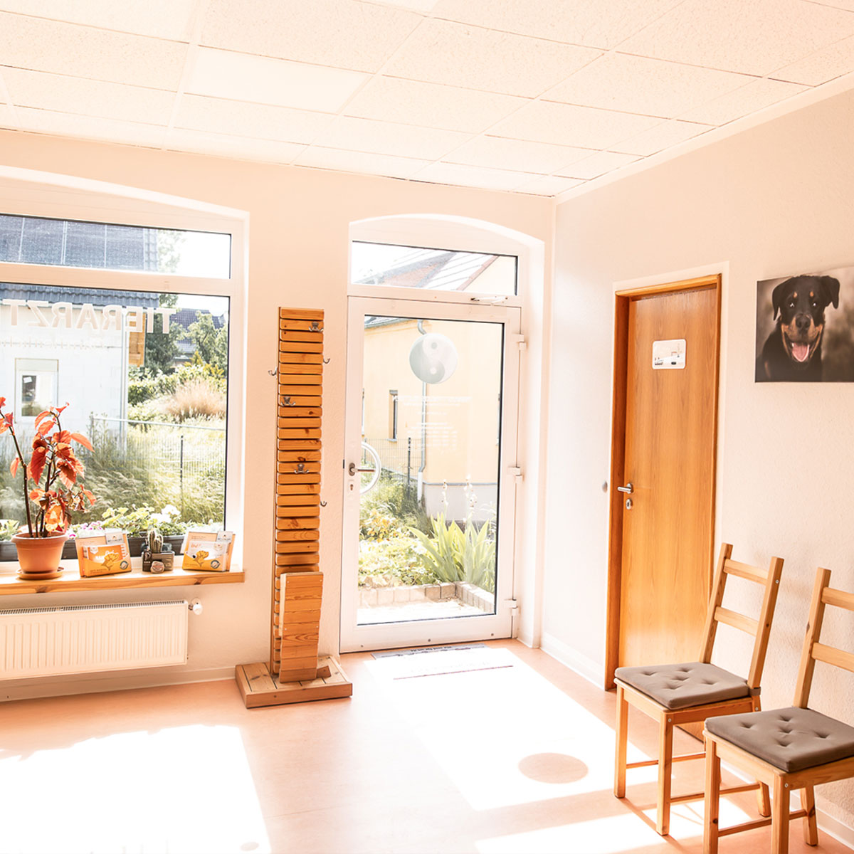 Wartezimmer in der Kleintierpraxis Kletzen