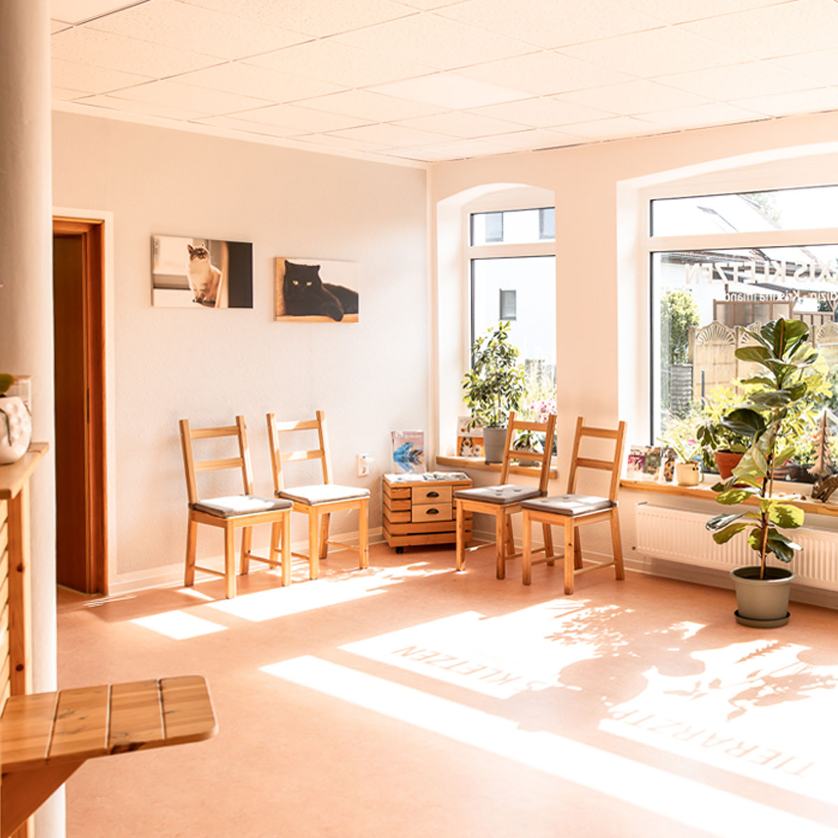 Wartezimmer Kleintierpraxis Kletzen bei Krostitz