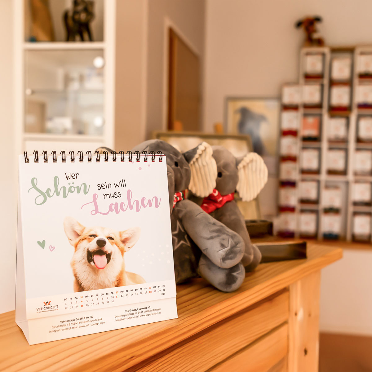 Wartezimmer in der Kleintierpraxis Kletzen