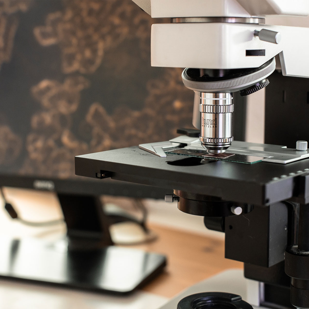 Diagnostik und Untersuchung des Blutes