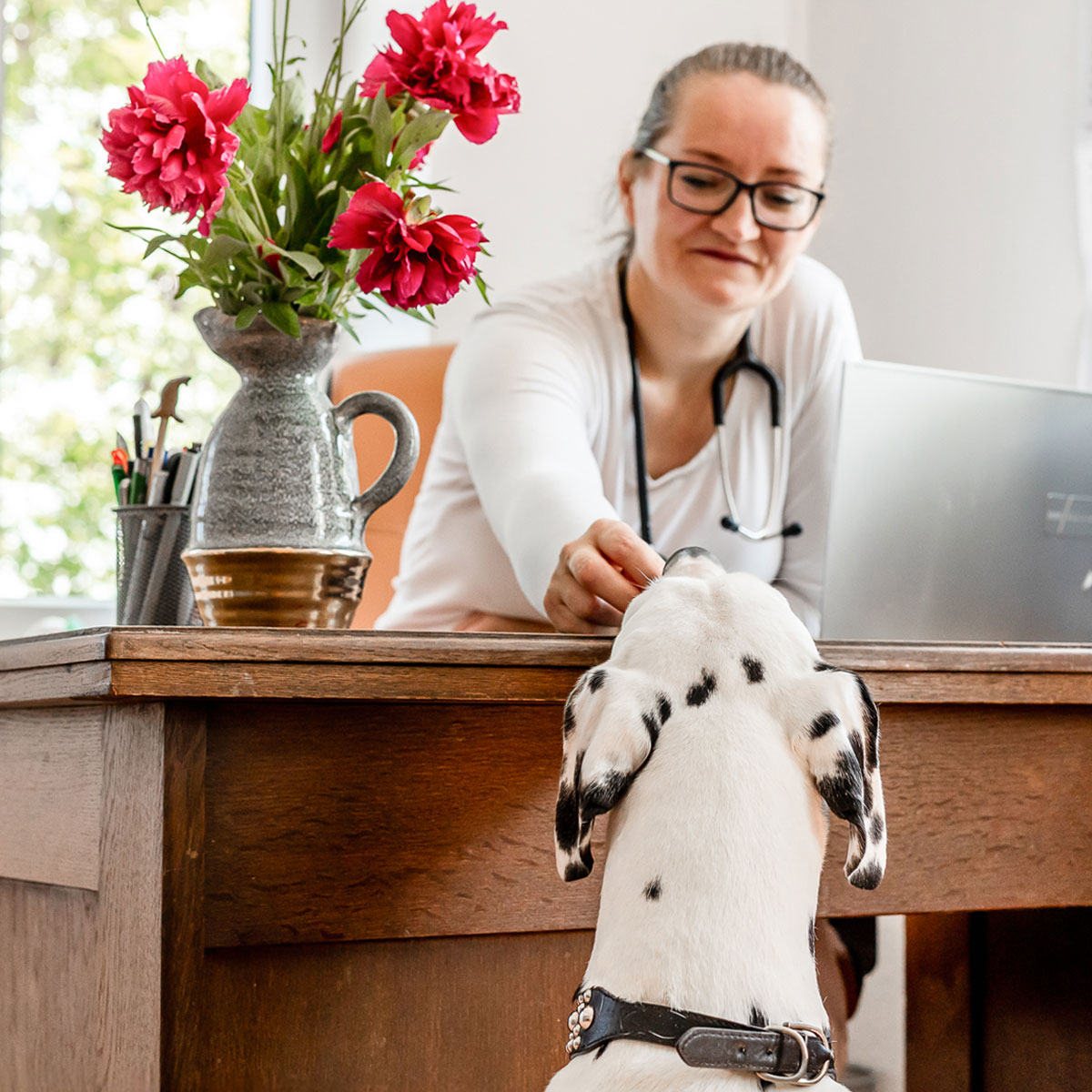 Tierärztin Kristina Iffland im Sprechzimmer ihrer Praxis