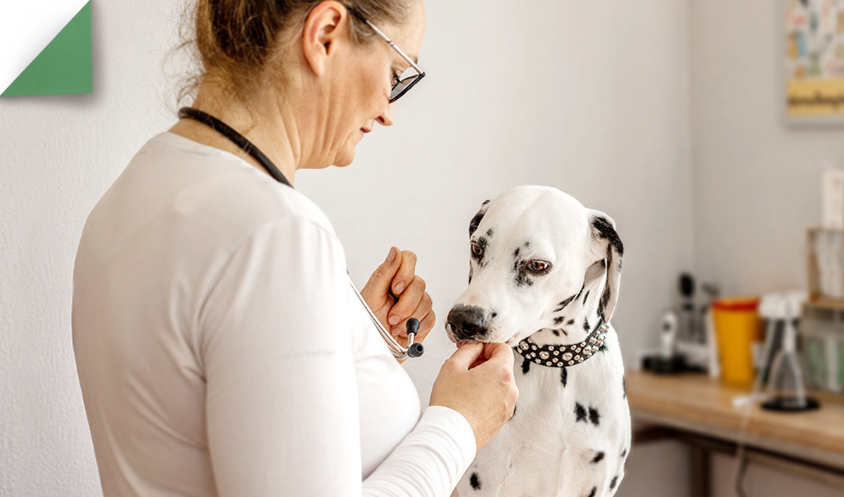 Leistungen Allgemeinmedizin