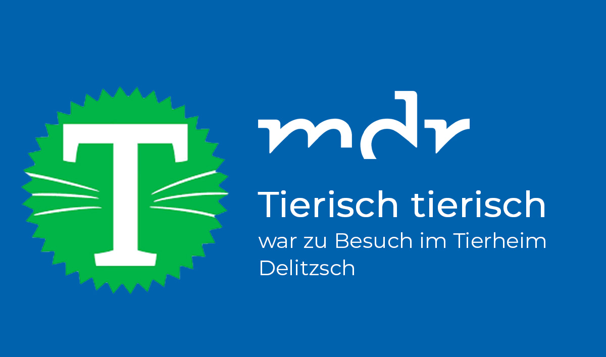 MDR-Beitrag - Tierisch tierisch