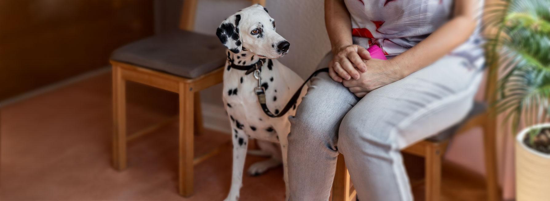 TerminSprechstunde - Mehr Ruhe. Weniger Warten.